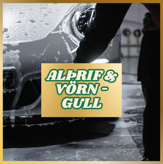 ALÞRIF & VÖRN - GULL👑